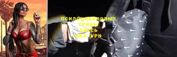 не бодяженный Ельня
