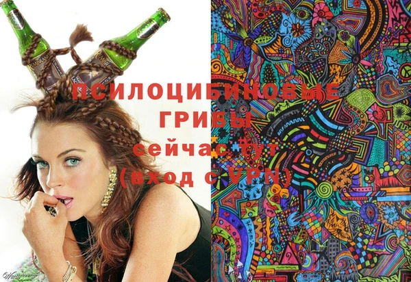 тгк Зеленодольск