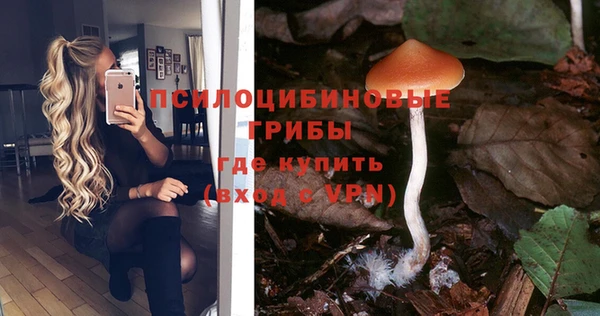 не бодяженный Ельня