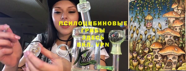 не бодяженный Ельня
