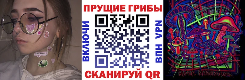 Купить  Лянтор  Галлюциногенные грибы прущие грибы 